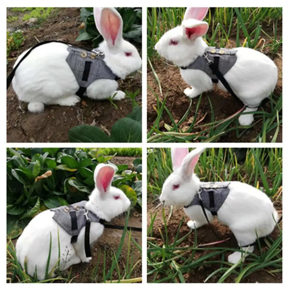 Набор из поводка для маленьких домашних животных нагрудный ремень жилетка с