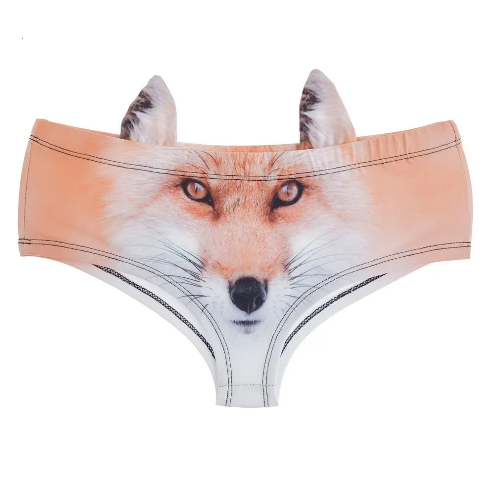 41068 fox (3)