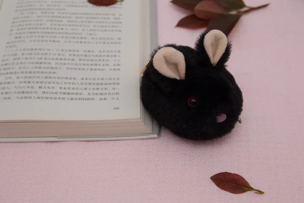 12142619945_1703499579