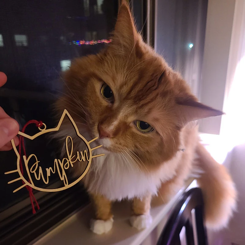 iap_640x640.2698157374_opscurp4