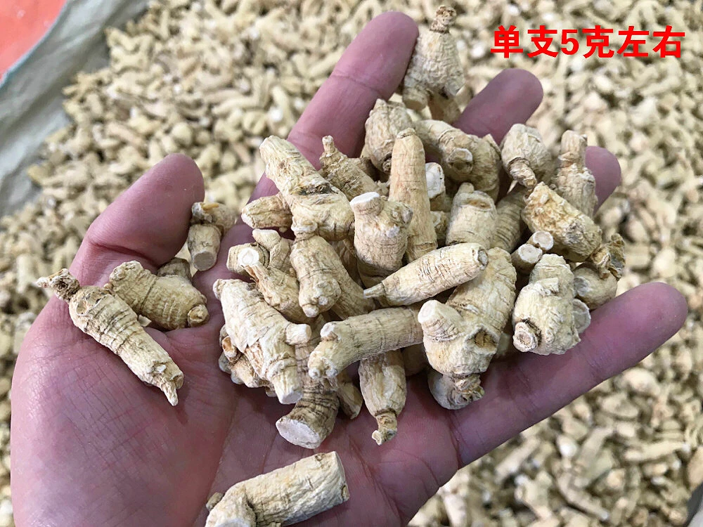 Panax quinquefolium полностью 500 г changbay горный супер-сорт Citi женьшень здоровые продукты американский женьшень