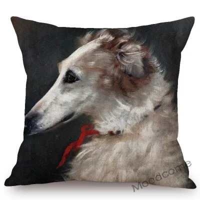 conew_n387 (33) 副本