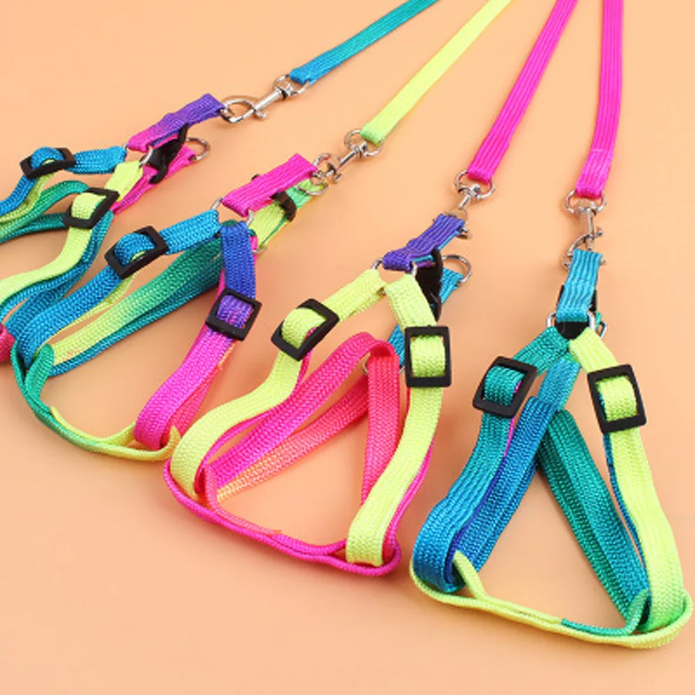 Pet Cat Dog Kitten Adjustable Colorful Harness Lead Leash Collar Belt Walking outdoor Quality Nylon Leashes Поводок для собак | Дом