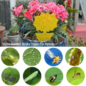 

10pcs Dual Sided Easy Use Eliminate Flies Home Waterproof Potting For Aphids Strong Glue Yellow Fruit Fly Sticky Traps Catcher