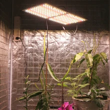 

2000w Led Grow Light Ultra-thin Panel Full Spectrum Quantum Board For Indoor Plants Vegetables Flowers Meanwell Driver