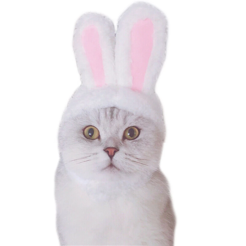 Кошачья шляпа с заячьими ушками, вечерние костюмы для домашних животных
