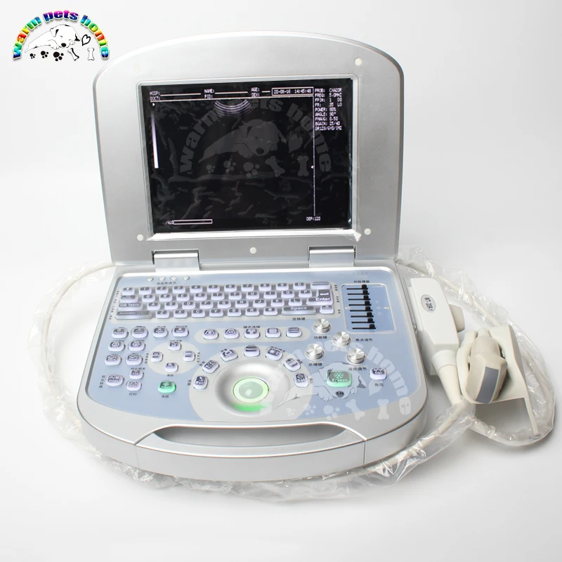 12 Inch LCD Display screen Portable Notebook Ultrasound 96 Element Equipped with Linear Convex Microconvex Probe