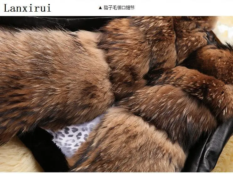 2579502481_741245287