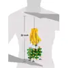 Bird Toys For Parrots Wooden Parrot Supplies Gray Parrot Birds Alex Sun Biting Stairs Swing Wood Bird Toy Swing Banana Bunches 3