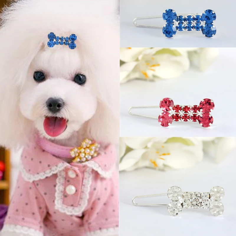 gehandicapt bolvormig Schepsel Hond Haar Clip Crystal Bone Vorm Haarspelden Voor Puppy Kat Mooie Pet  Accessoires Hond Hoofddeksels Lichtgewicht Pet Hair Grooming|Hond  Accessoires| - AliExpress