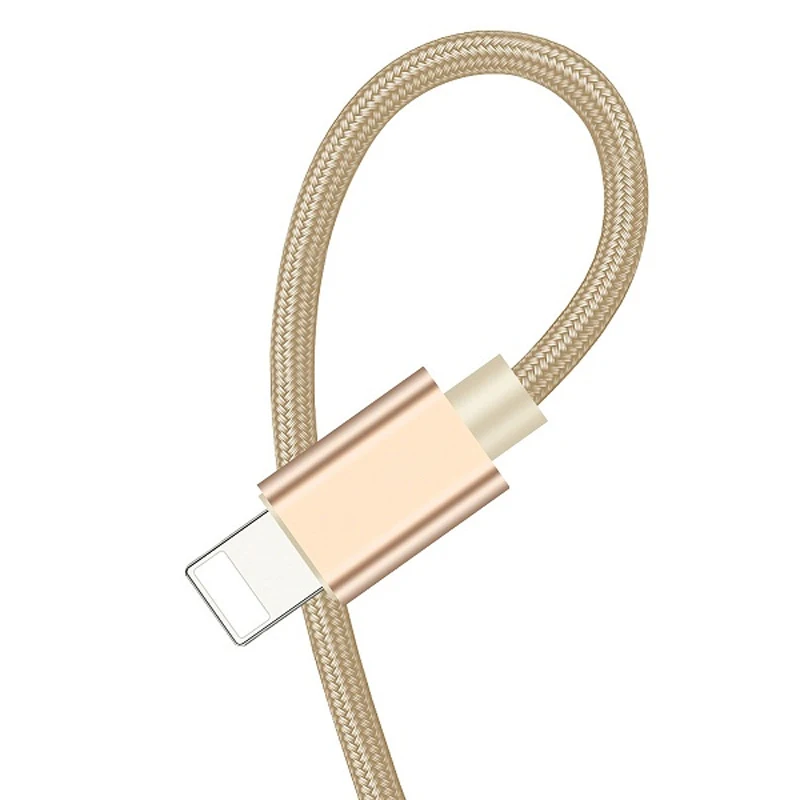 Золотой 3.1A USB кабель для быстрой зарядки для iPhone XS Max XR X 8 7 6 6S 5 5S iPad кабель для мобильного телефона кабель для быстрой зарядки данных - Цвет: Золотой