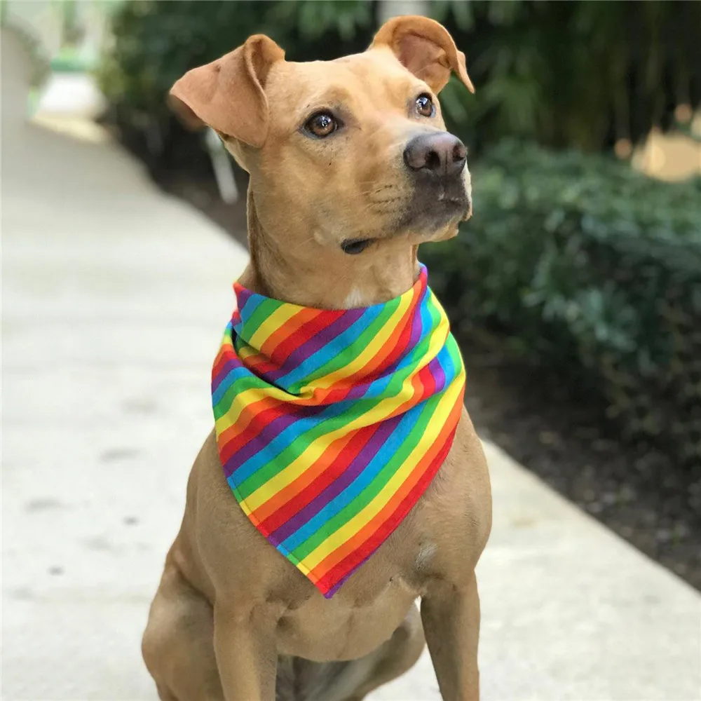 Breathable Dog Collar Cat Pets Collar Pride day Rainbow Bandanas match