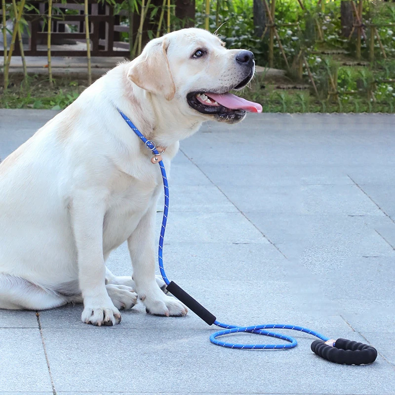 

1.8m P Chain Large Dog Leash Slip Collar Reflective pet Walking Leads Nylon Long small Medium big Dog Rope soft Double handle