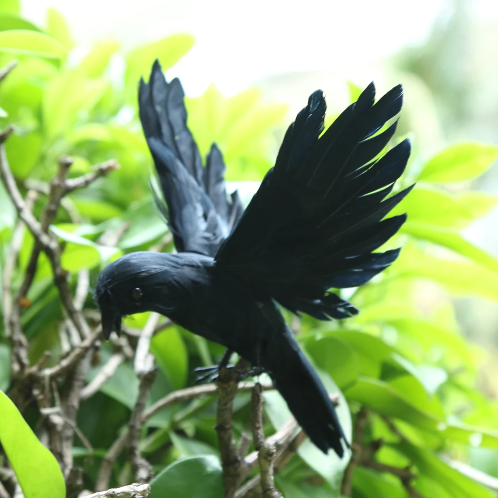 Plastic Feather Flying Crow Decoy Birds Scarer Scarecrow Ornament Plastic Feather Flying Crow Decoy Birds Scarer Scarecrow Ornament