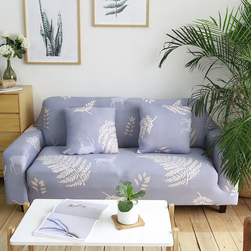 12948057316_1696166310