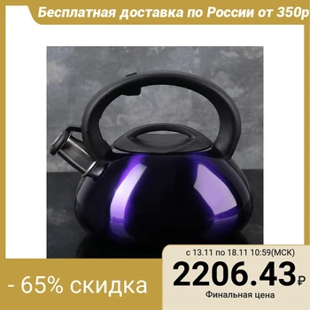

Whistling kettle 3 l "Town", color purple