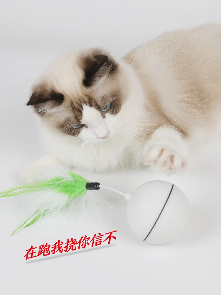 

Douyin Celebrity Style LED Smart Electric Automatic Play with Cat Laser Automatic Rolling Useful Product Toy Ball Flash Cat Teas