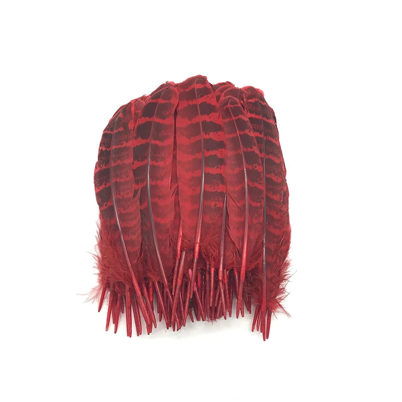 50pcs/lot Super Beautiful Natural Pheasant Feather jewelry Goose plumas clothes hat DIY veren decoratie Carnival Party plumes