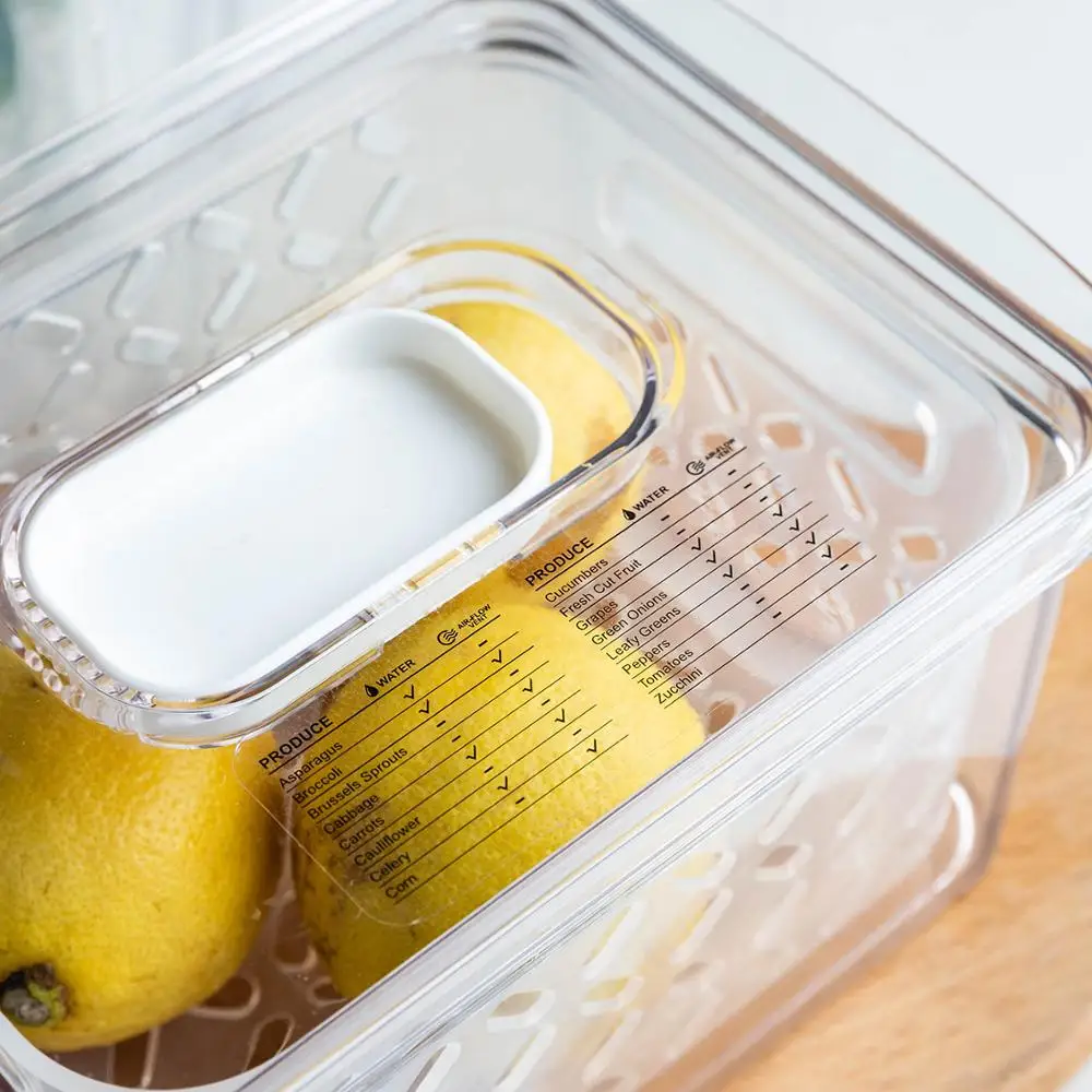 1pc Clear Food Storage Box, Dark Green Vegetable Container For