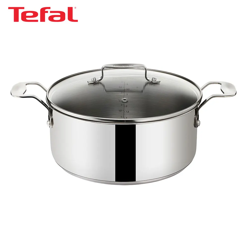 Casseroles & Ishinabes Tefal E7914414 Pan With Lid Stainless Steel With