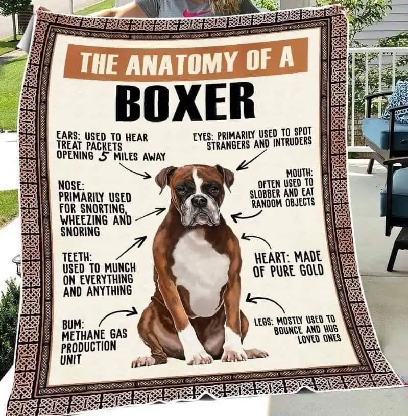 U44c3dd1214de49c98b95708ad72a5bbcg