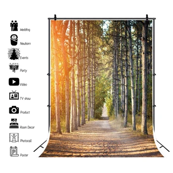 

Laeacco Autumn Old Tree Forest Grass Pathway Park Sunshine Natural View Photographic Background Photo Backdrop Photo Studio