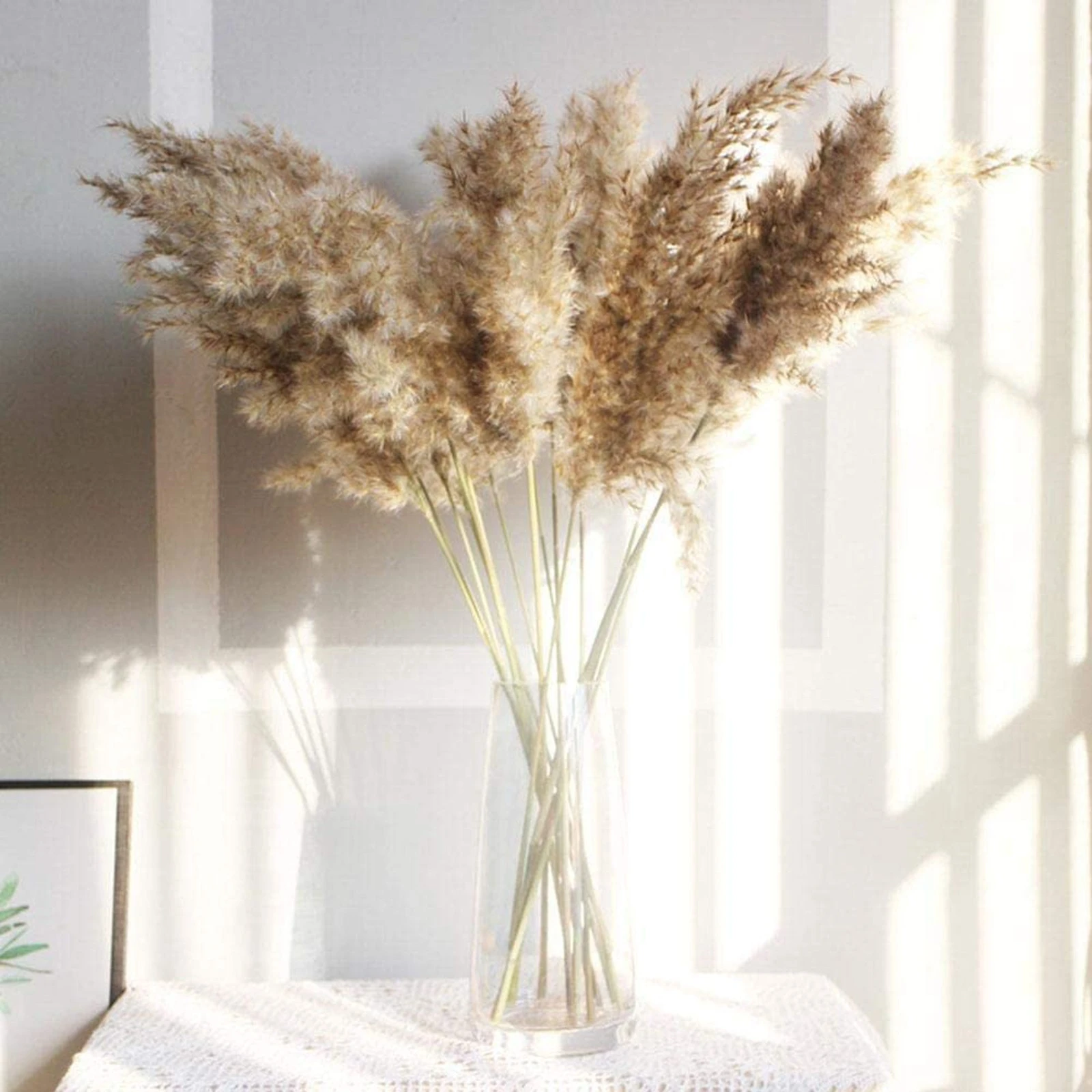 50cm 30/50pcs Naturel Séché Phragmites et Fleurs de Roseau Décor Marron  Bouquet Boho Séché Pampa Décoration Maison Chambre Salon | AliExpress