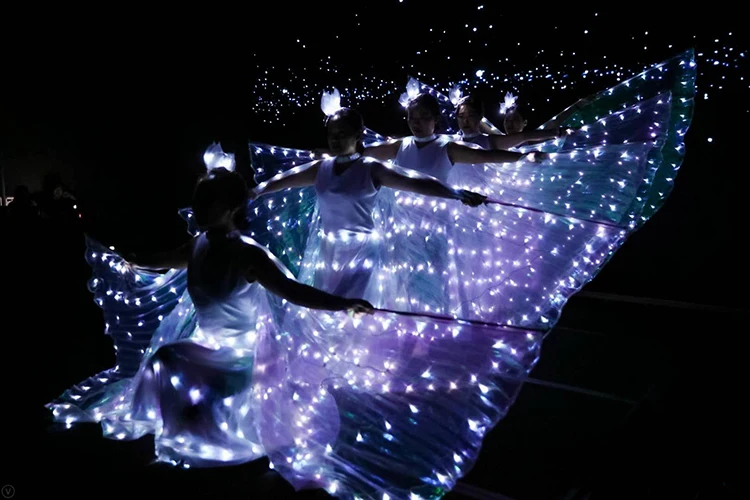 Светодиодный светящийся крылья балетный костюм флуоресцентная Бабочка Одежда для танцев Женская танцевальная одежда