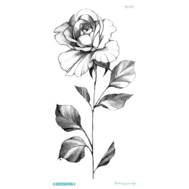 Image 17