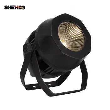 

10pcs/lot Waterproof LED Par COB 200W Cool+Warm White DMX512 Stage Effect Lighting For Outdoor Swimming Pool And DJ Disco Party