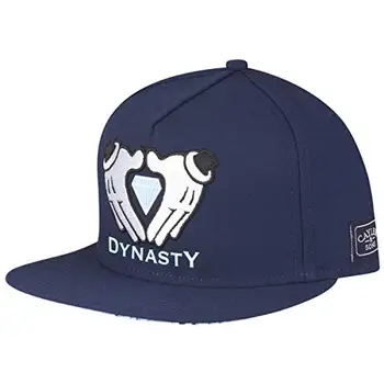 

Cayler & Sons C&s Wl The Life - Gorra ajustable para hombre, color azul