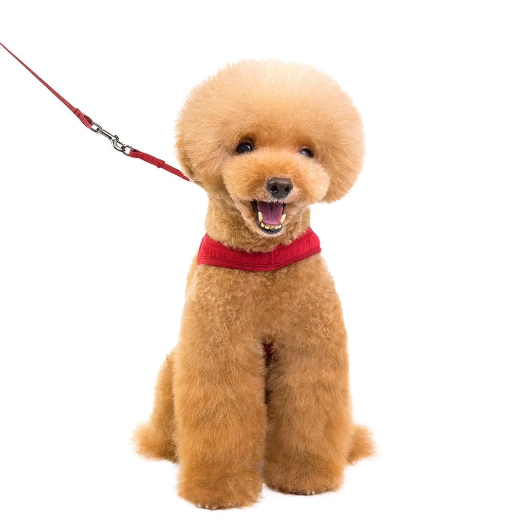 New Adjustable Pet Cat Dog Breathable Traction Fashion Comfortable Chest Strap Teddy For Dog Walking Pet Harness S-l Size