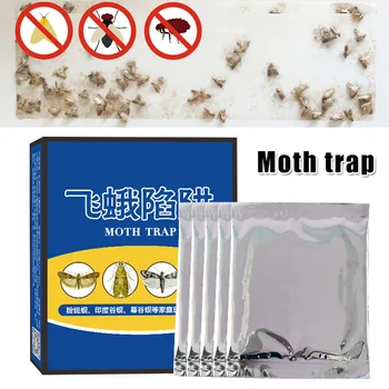 

HOT 5Pcs/Box Fly Moth Trap Pest Control Killer Mole Repeller for Family Restaurant TI99