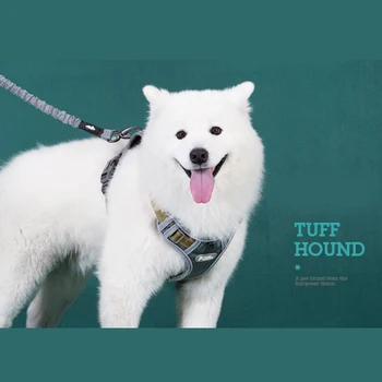 

Pet Dog Harness Breathable Vest Harness for Dogs Puppy Cat Pets Chest Strap Leash Collar Vest Tank Tops for Dogs Supplies