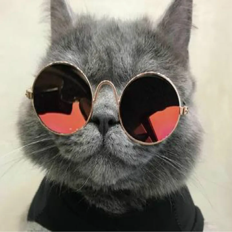 red M cats accessories glasses cats sunglasses for dogs free shipping dog sunglasses pet cat decoration - Цвет: red M
