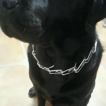 

Dog Collar Strong Professional Metal Nylon Pinch Dog Training Chain Collar Prong Pet Choke Collars 3 Different Size