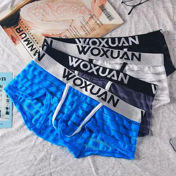 

IYUNYI Mesh See Through Transparent Sexy Men Panties Sexy Sheer Men's Underwear Boxers Sexy Gay Underwear Men Shorts