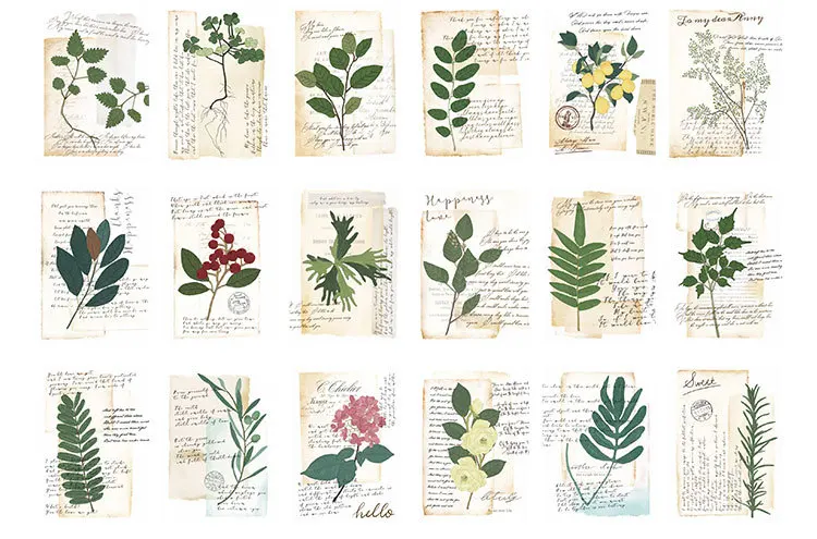 11079615462_1057887383