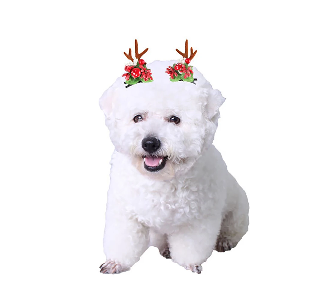 2 шт./партия заколки для волос для собак шпильки Бант Цветок котенок щенок товары для ухода маленькая собачка Тедди Чихуахуа Рождество