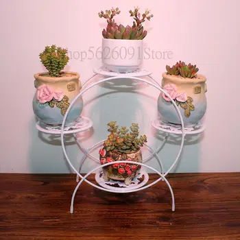 

Desktop Mini Flower Wearing Mail Office Sitting Room Balcony Window Small Pot Rack Shelf Ready, Fleshy
