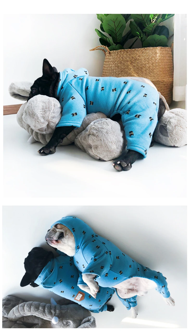 Cute Dog Jumpsuit with Hood