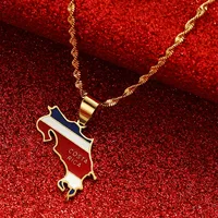 Stainless Steel Costa Rica Map Flag Charm Necklaces La Republica de Costa Rica Map Pendant Chain 1