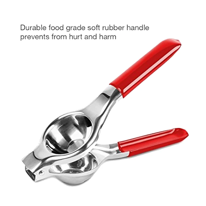 61r5XCeZRvL._SL1000_