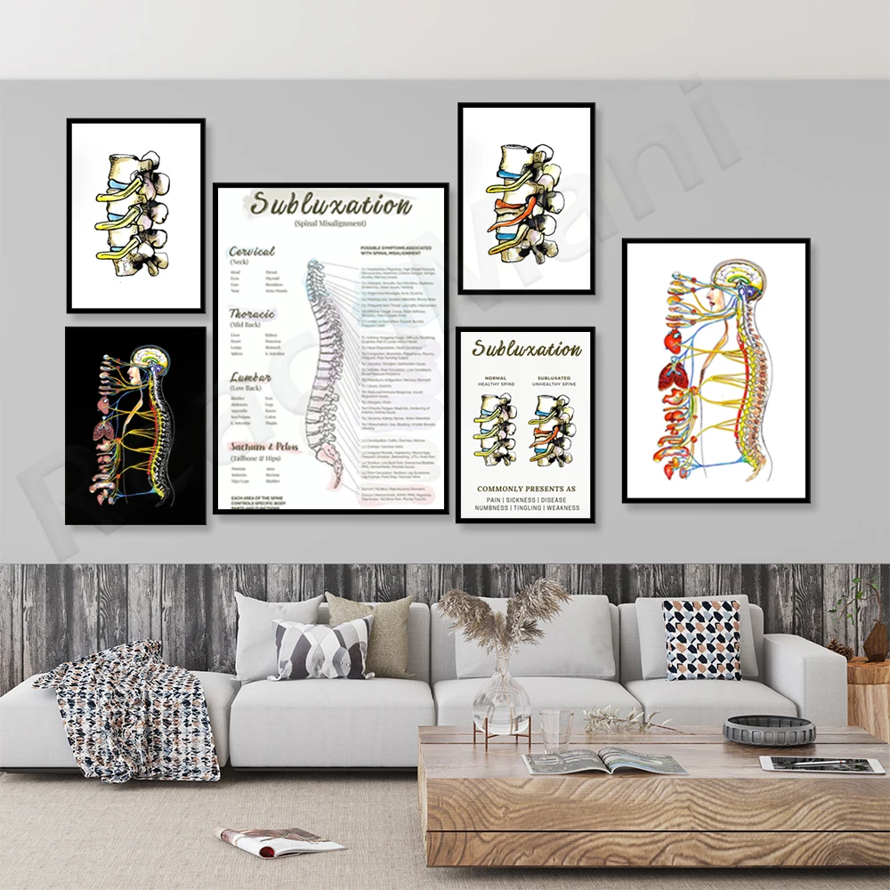 Autonomic Nervous System Poster | Diagram Spine Nerves | Chiropractic ...