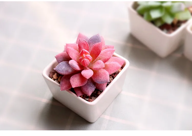 11036723892_182847313