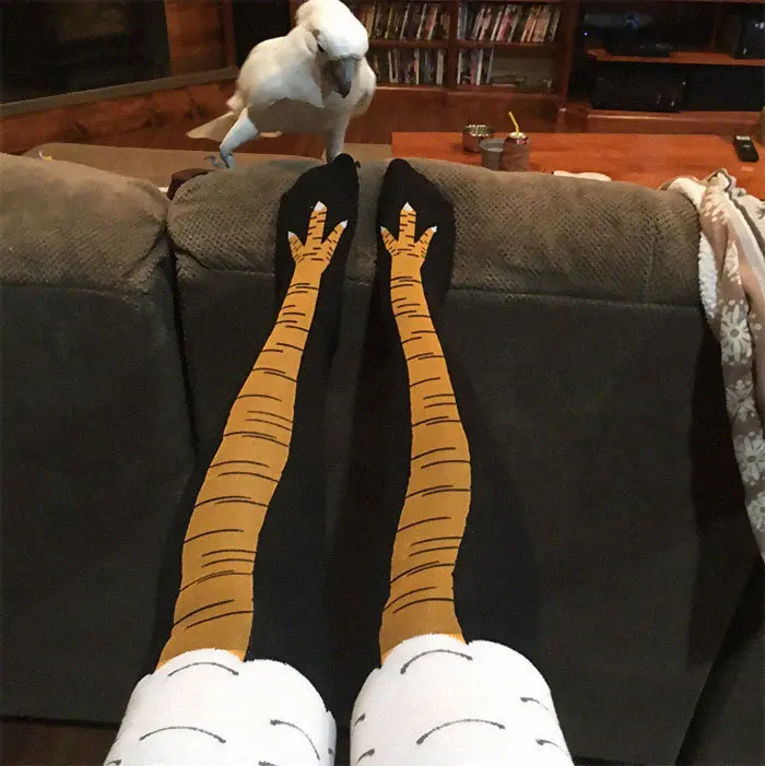 

Winter Autumn Women 3D Chicken print Socks Funny 3D Cartoon Thigh High Sock fashion cute ladies Thin Toe Feet Socks cosplay