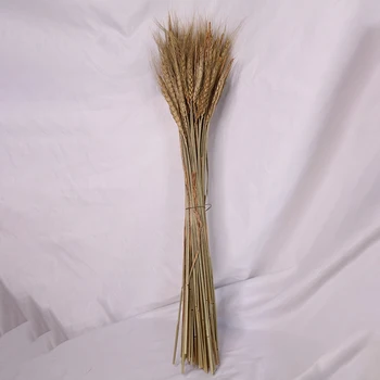 

New 100Pcs/Lot Real Wheat Ear Flower Natural Dried Flowers Wheat Ears Bouquet Wedding Party Decoration DIY Craft Home Decor Phot