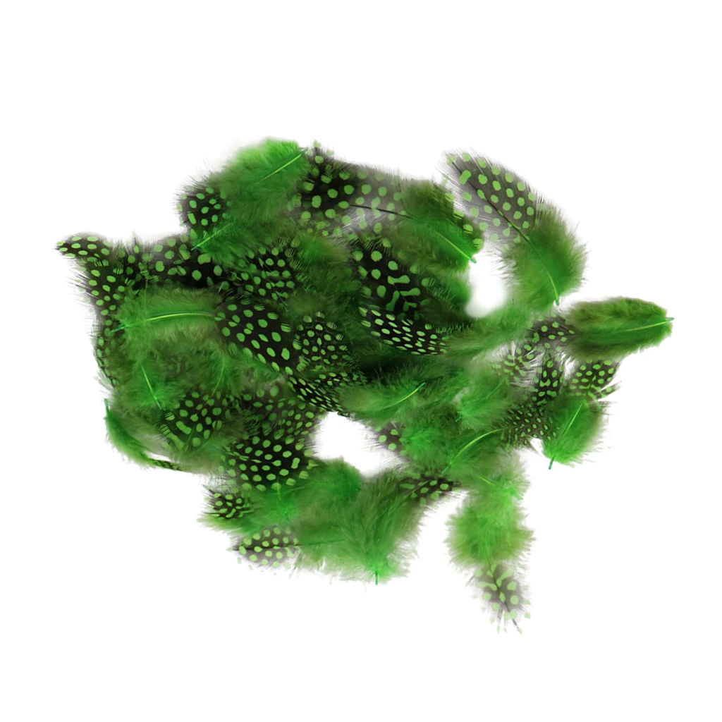 50PCS Lots Dyeing Guinea Hen Feather Chicken Feathers Craft Embellishment