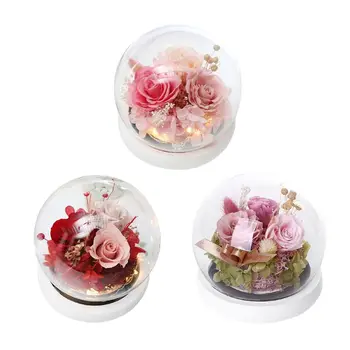 

Red Silk Rose That Lasts Forever in a Glass Dome for Valentine's Day Wedding H4GD