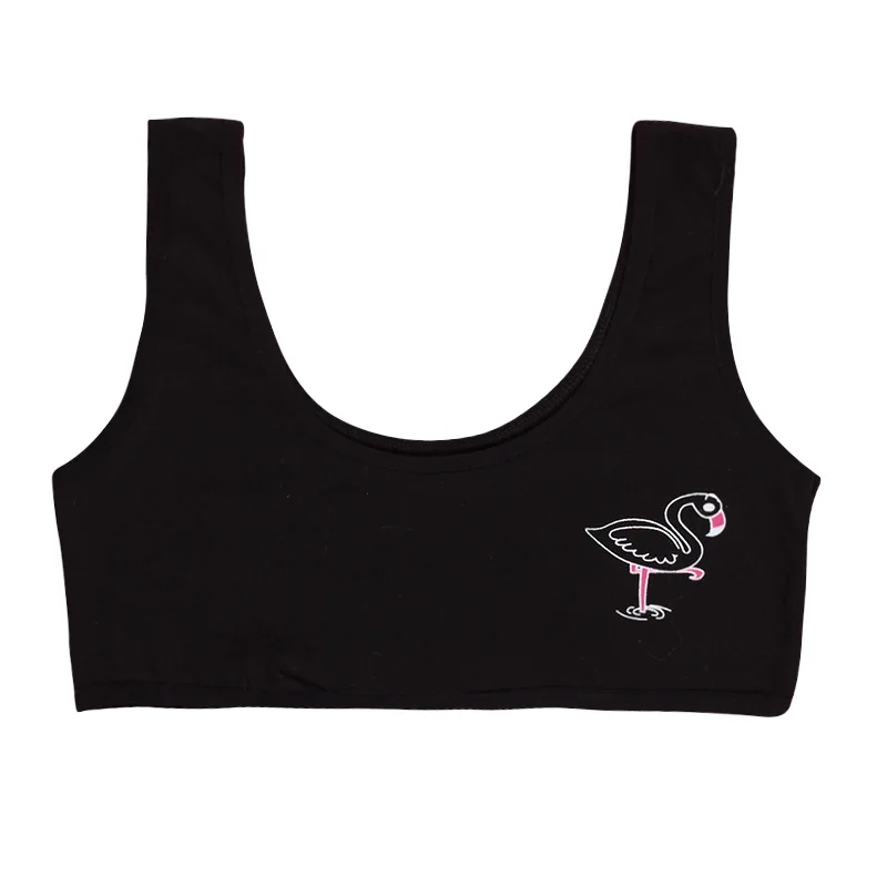 11802139289_556967668